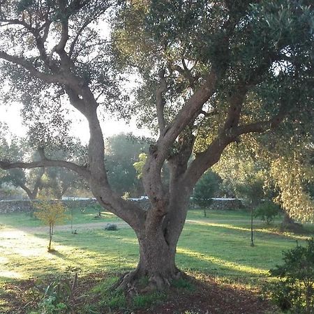 Sol Invictus Est Serranova Exterior foto