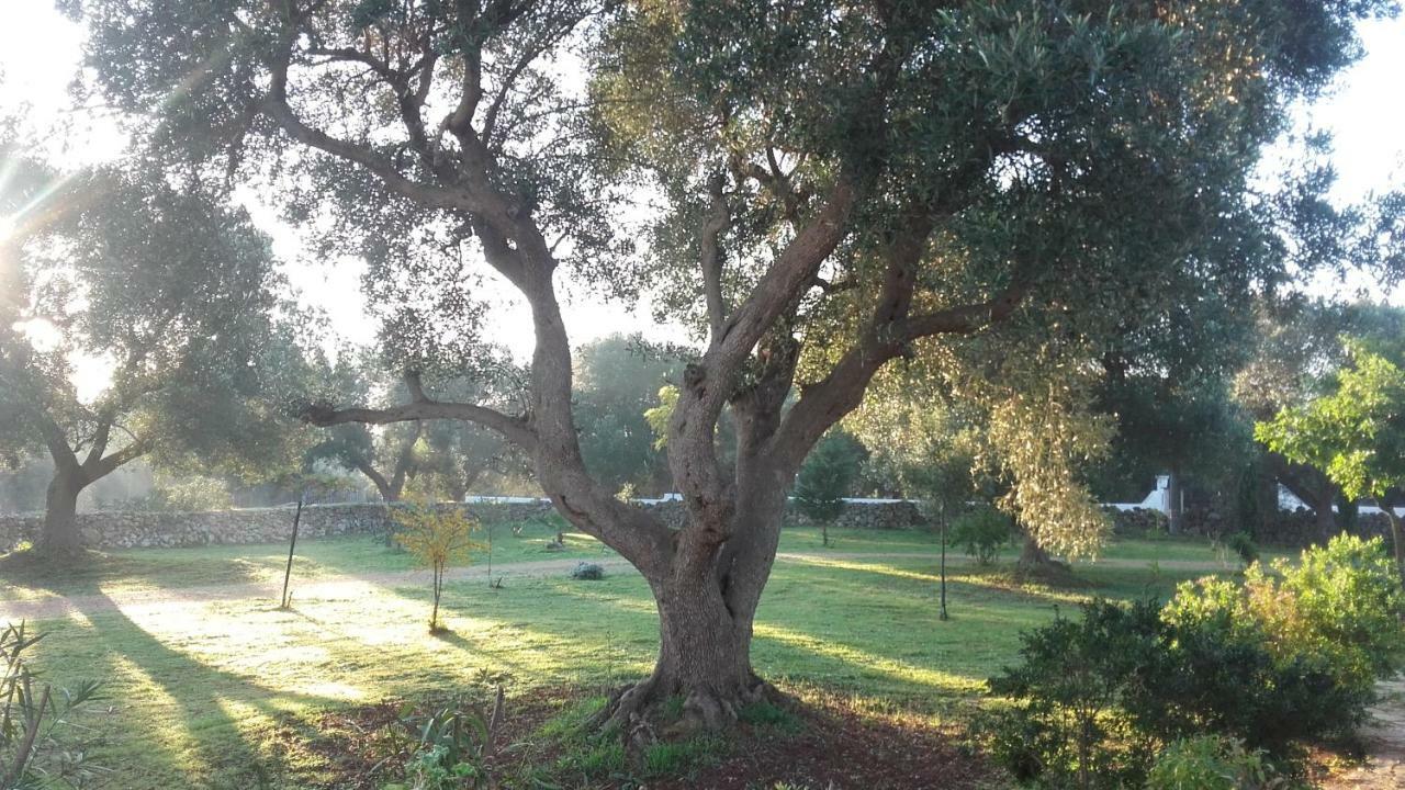 Sol Invictus Est Serranova Exterior foto